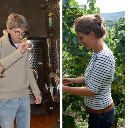 Weingut Erbes-Henn Ξενοδοχείο Ürzig Εξωτερικό φωτογραφία