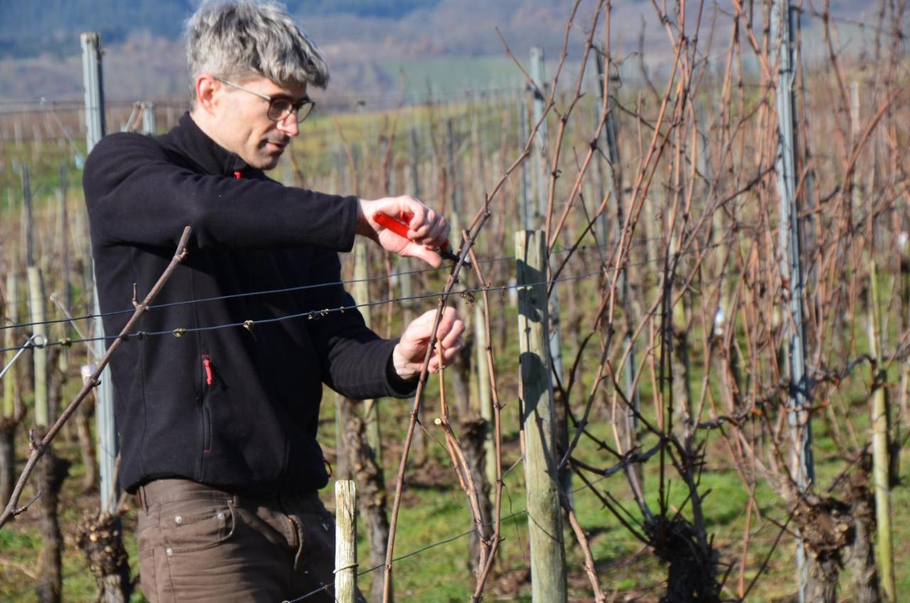Weingut Erbes-Henn Ξενοδοχείο Ürzig Εξωτερικό φωτογραφία
